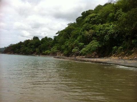 El Sabanero Playa Flamingo