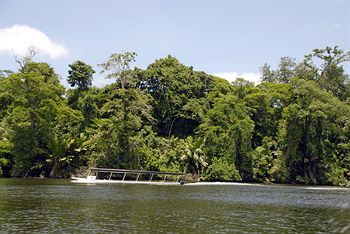 Manatus Tortuguero