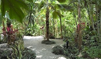 Teak Pacific 3* Nosara