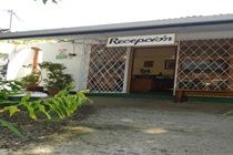 Mandarina Manuel Antonio
