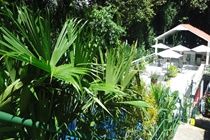 Hotel Mandarina
