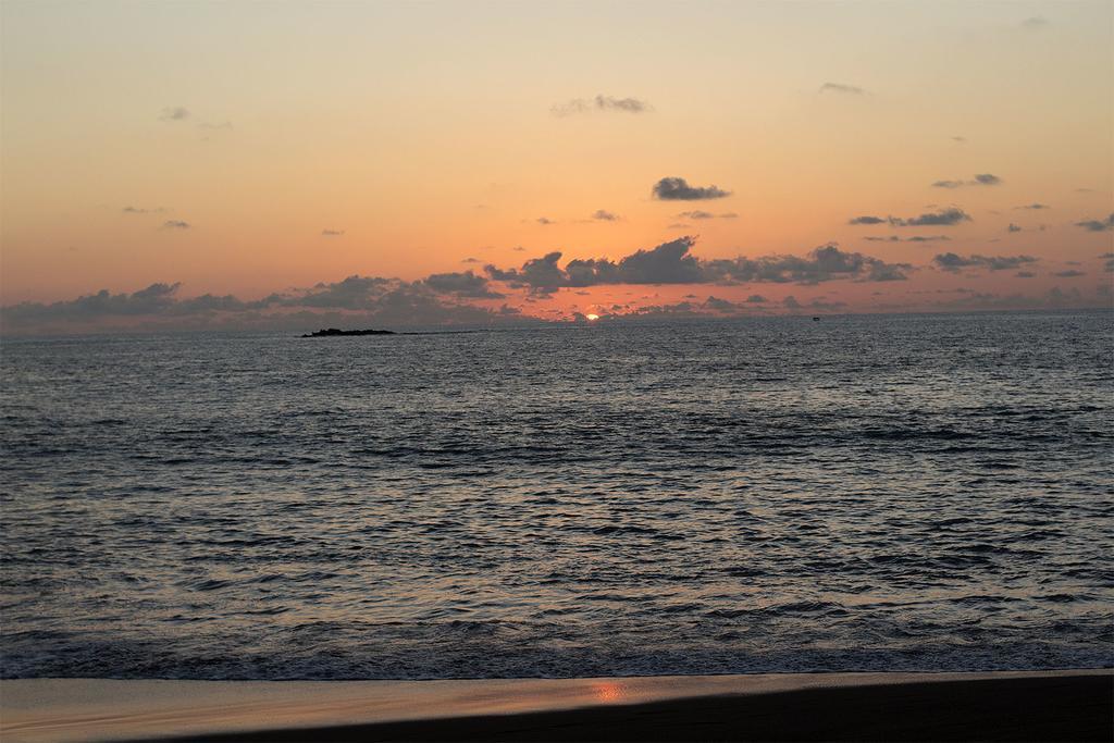 Hostel Life For Life Hostel: Sea Turtle Conservation At