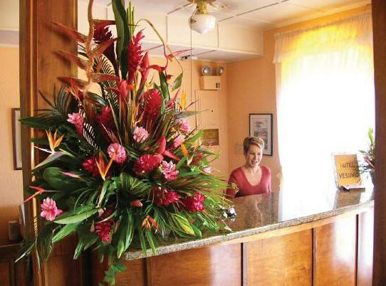 Vesuvio Hotel 3*