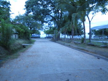 Savannah 2* Playas del Coco