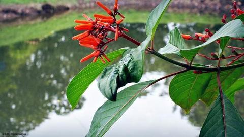 Colores Del Arenal Hotel