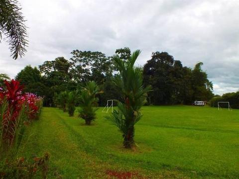 Colores Del Arenal La Fortuna