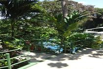 Mandarina Hotel 3*