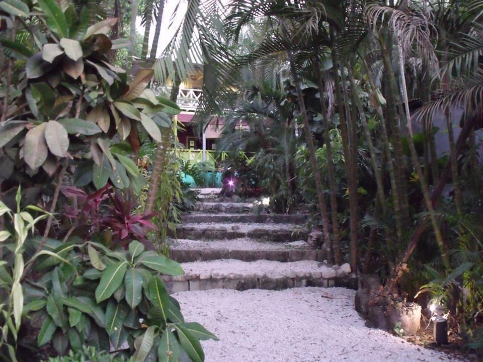 La Tropicale Samara
