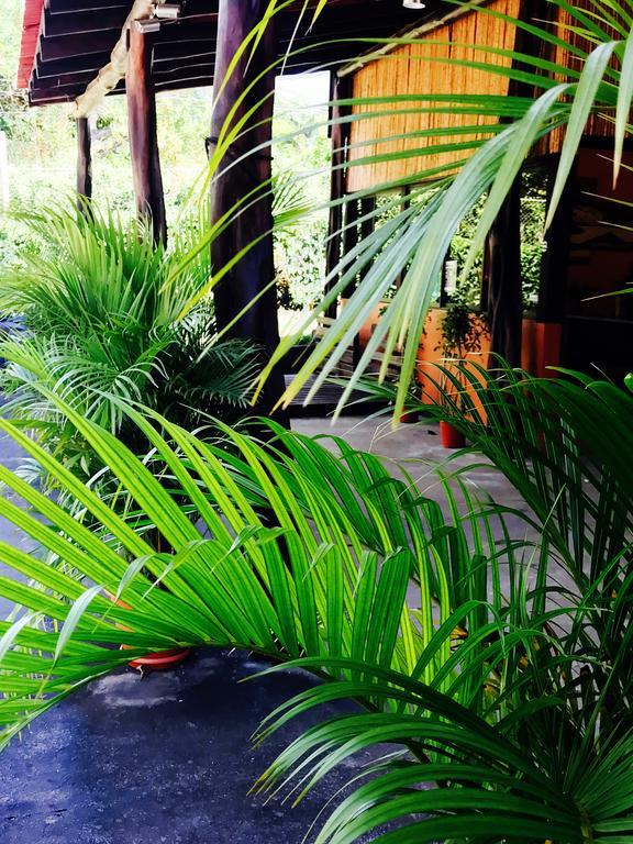 Hostel Tsunami Tamarindo