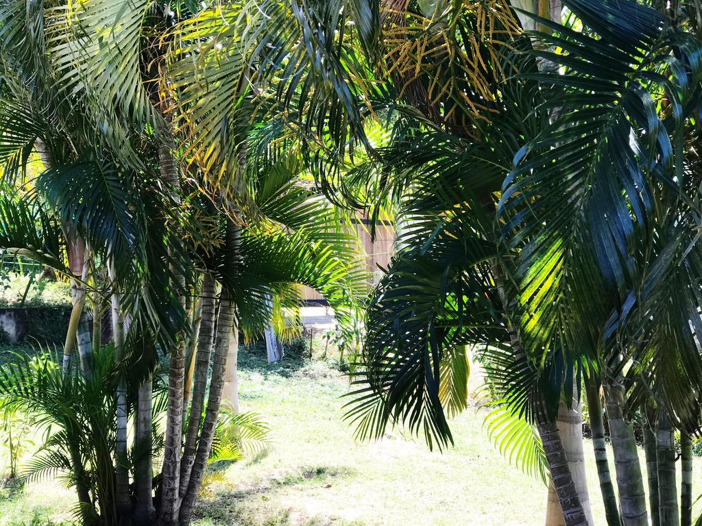 Hostel Tsunami Tamarindo