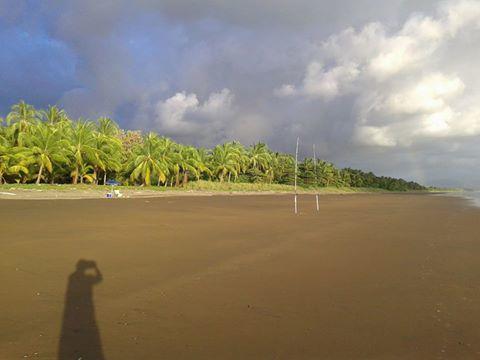 La Palapa 4*