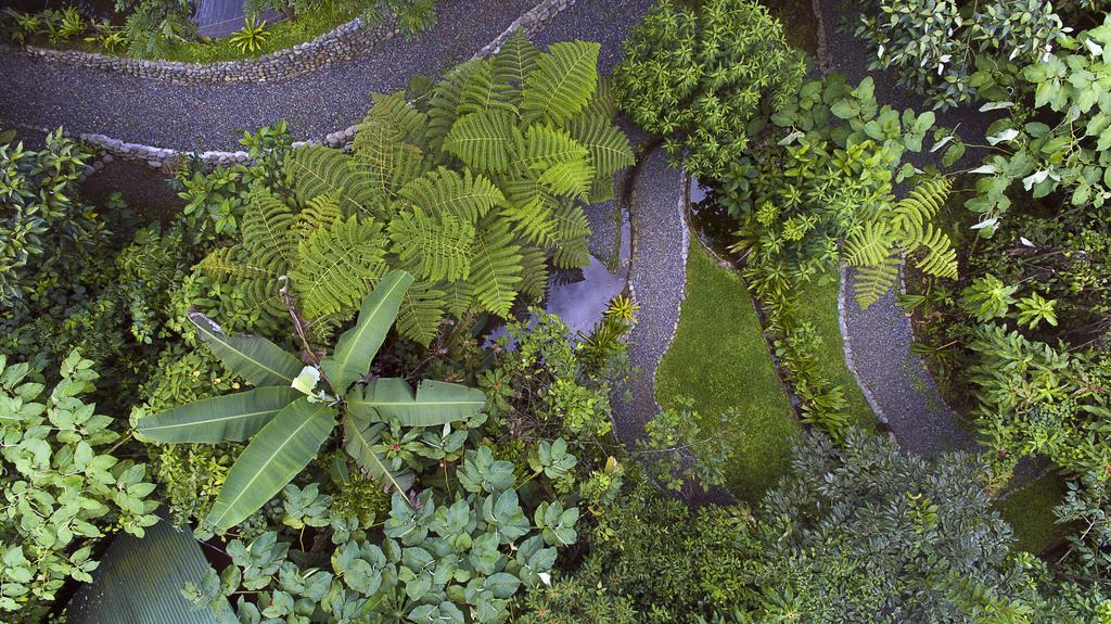 Lodge La Tigra Rainforest La Fortuna