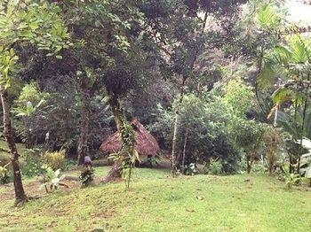 Sukia Hostel 2* Drake Bay