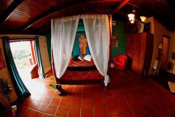 Toad Hall Arenal