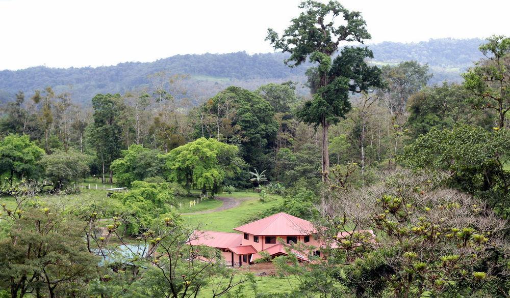 Tai Cacao