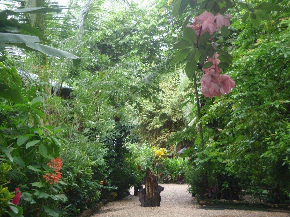 Pachamama Tropical Garden 2* Malpais
