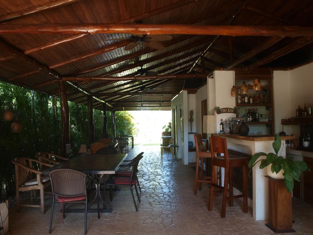 Margouillat Tambor (Puntarenas)