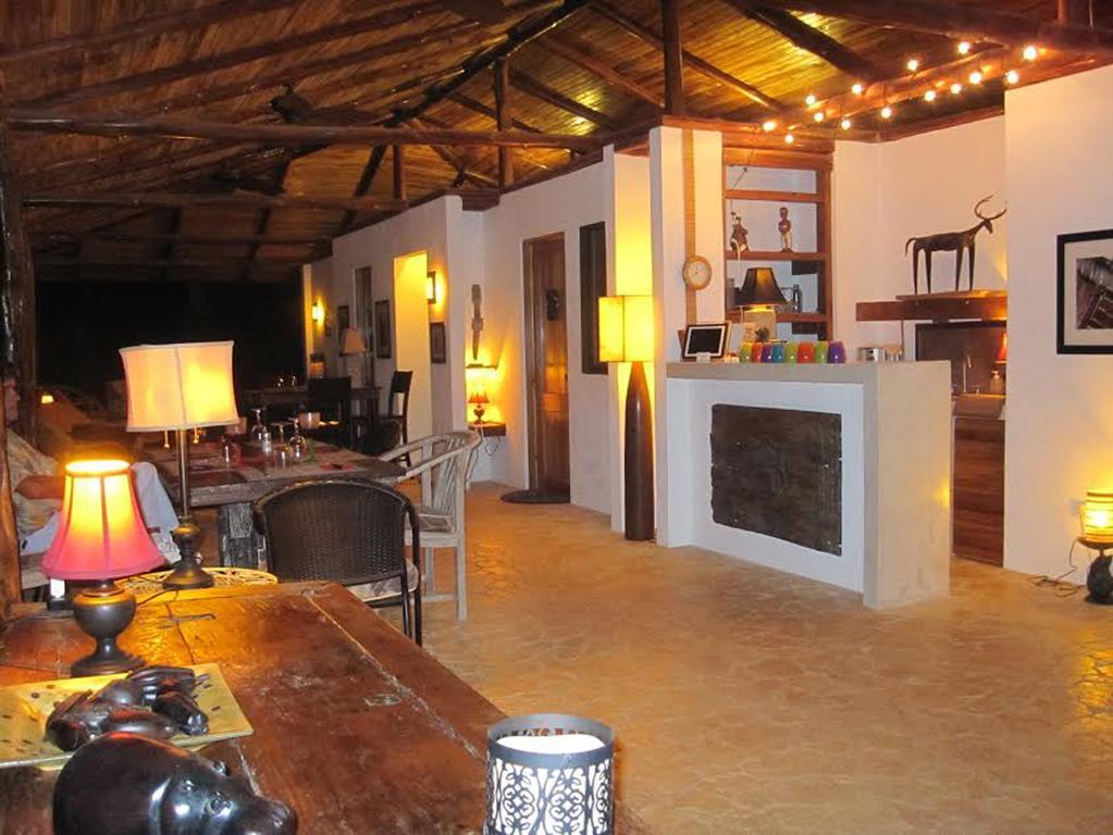 Margouillat Tambor (Puntarenas)