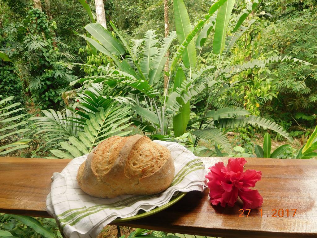 Casa Lina Sloth View Exotic With Privat Kitchen