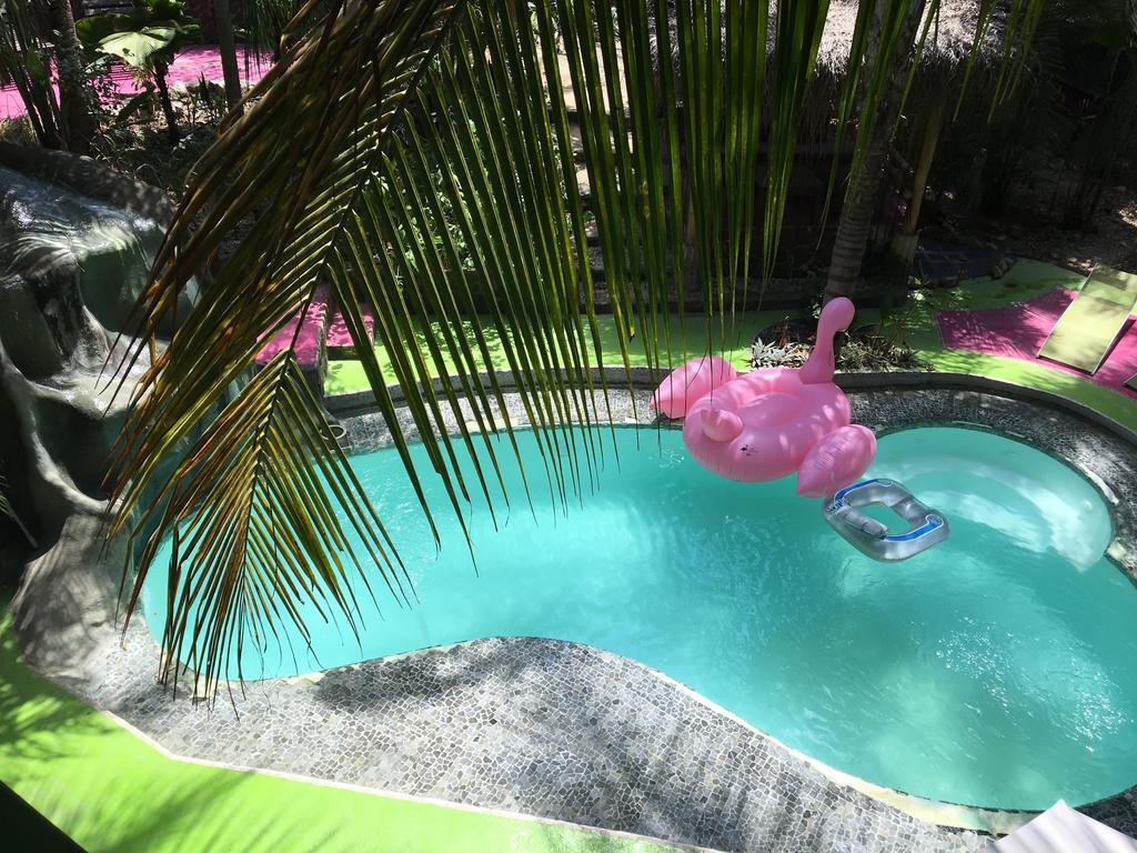 La Tropicale Samara