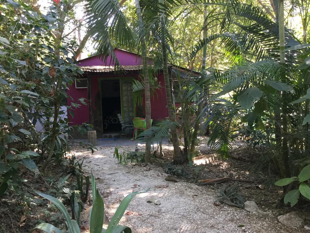 La Tropicale Lodge Samara