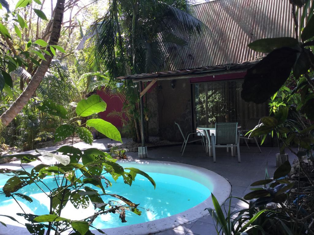 La Tropicale Lodge *