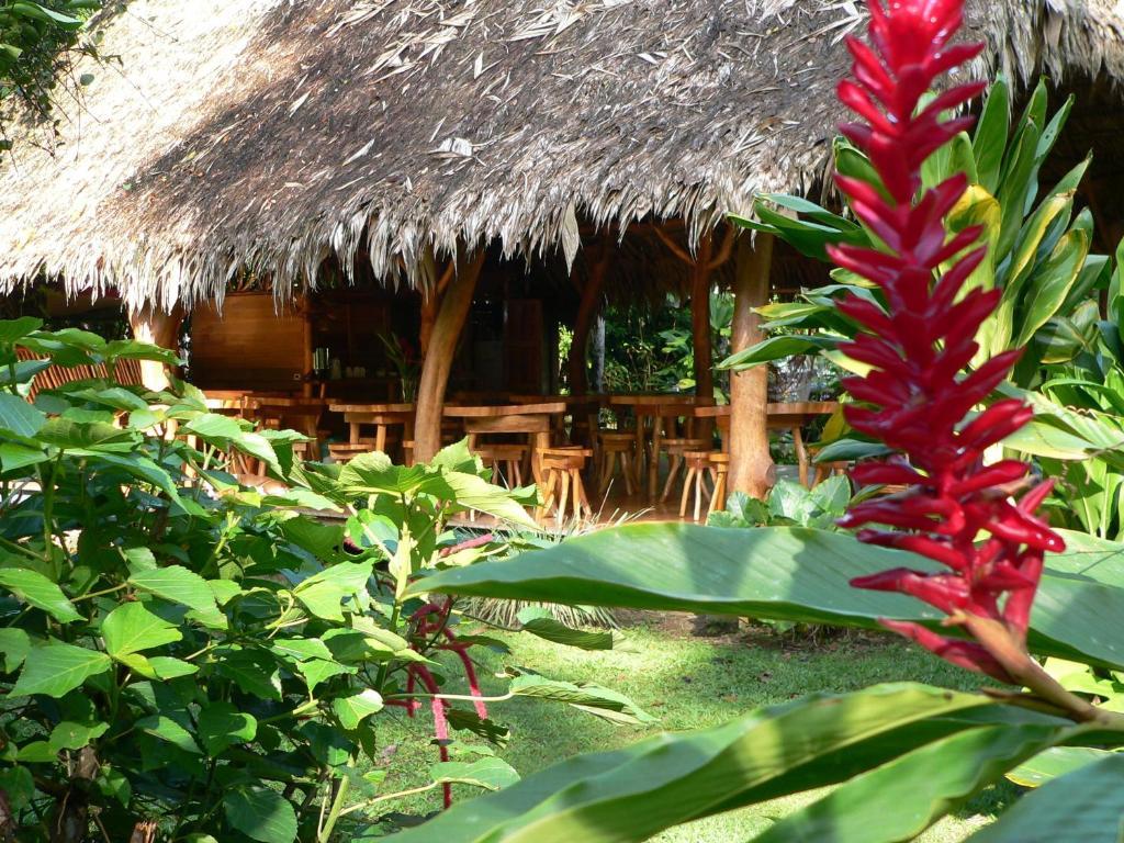 Hotel Blue Conga 3*