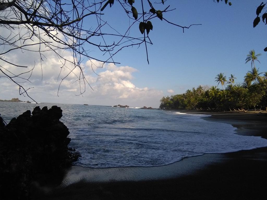 Life For Life Hostel: Sea Turtle Conservation At Drake Bay