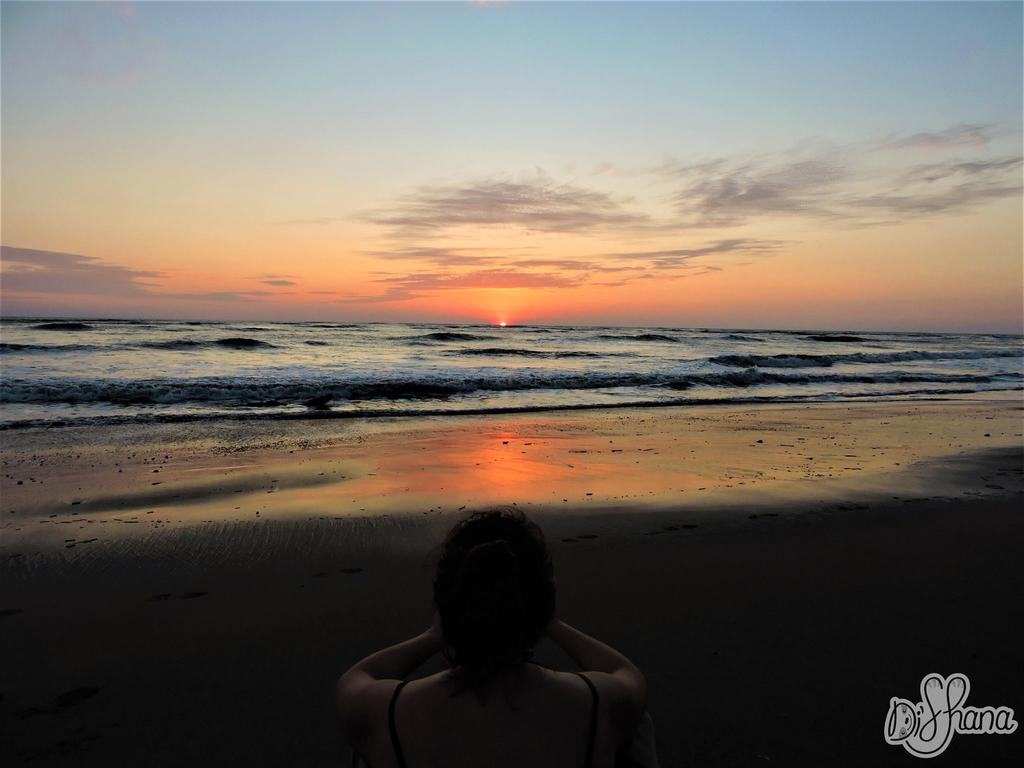 Life For Life Hostel: Sea Turtle Conservation At Hostel