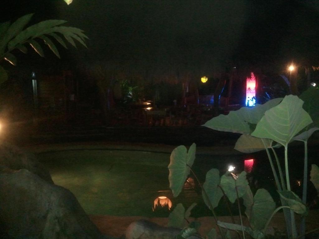 Hotel Blue Conga 3*