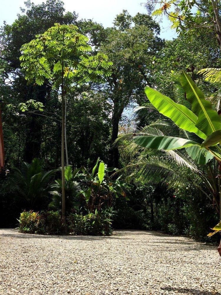 Bed & Breakfast Casa Moabi 2*