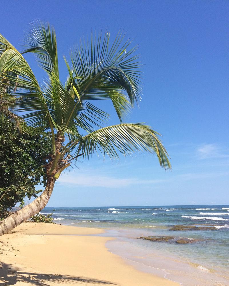 Las Casitas De Playa Negra Hostel Puerto Viejo de Talamanca