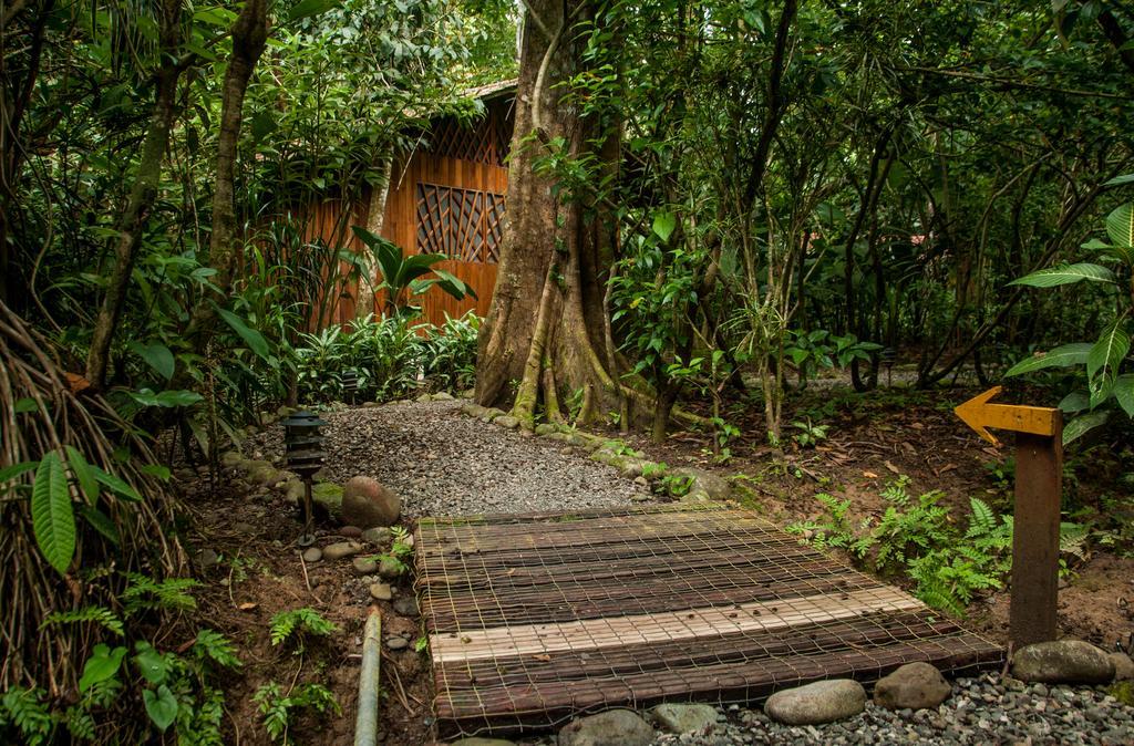 Tierra De Suenos & Wellness Center