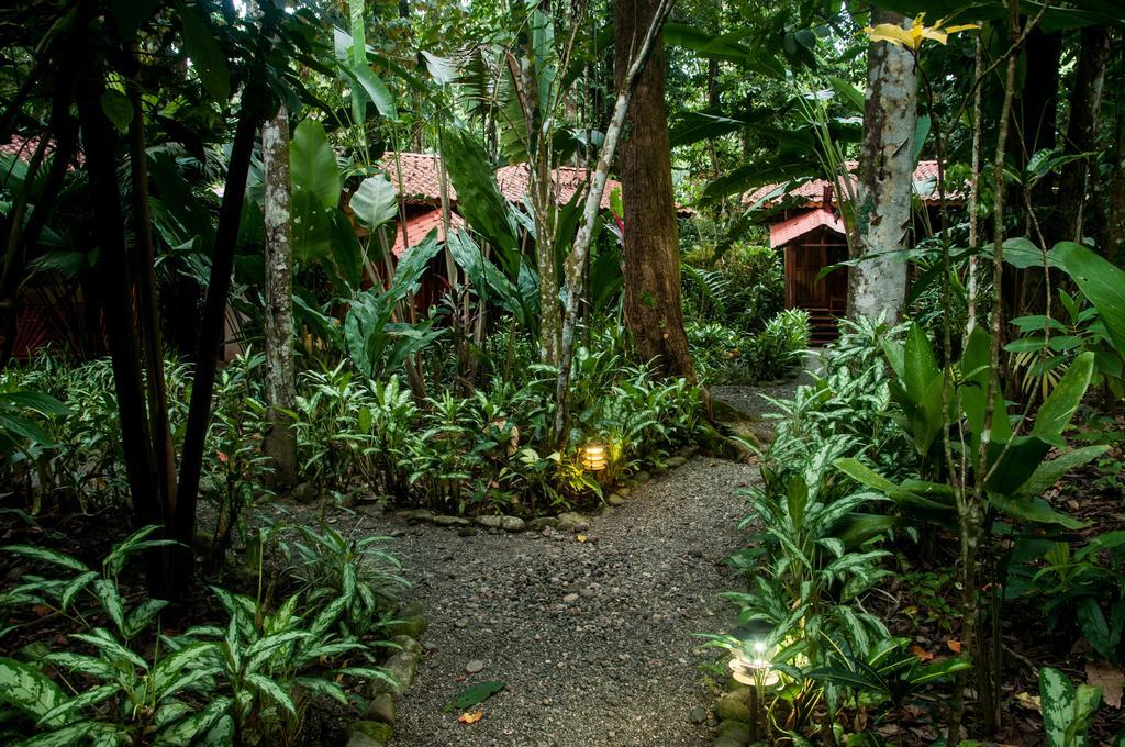 Tierra De Suenos & Wellness Center Lodge Puerto Viejo de Talamanca