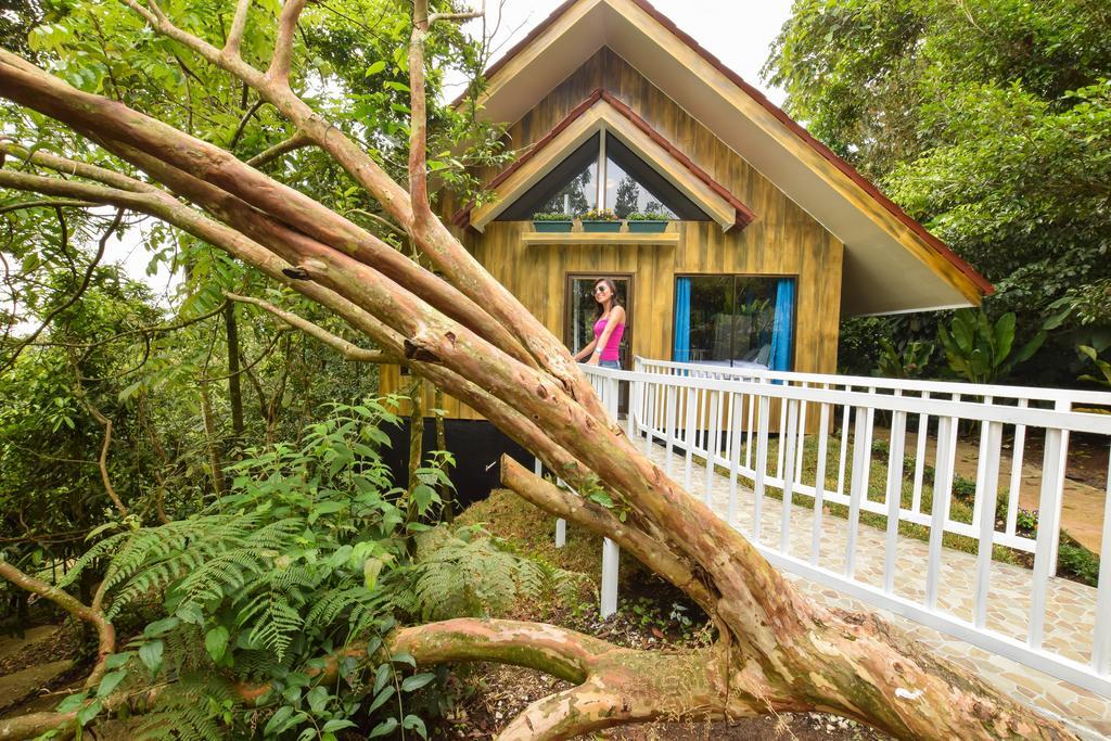 Arenal Waterfall Villa *
