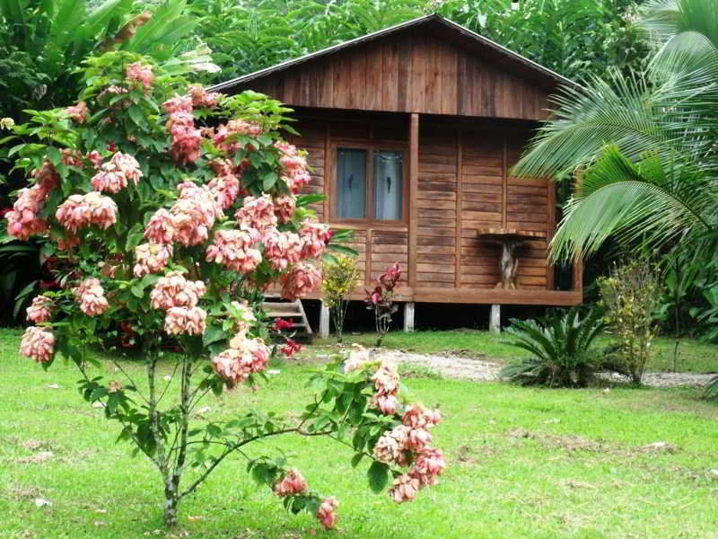 Cataratas Lodge, Incluye Tour Autoguiado Waterfalls Hike Holiday park