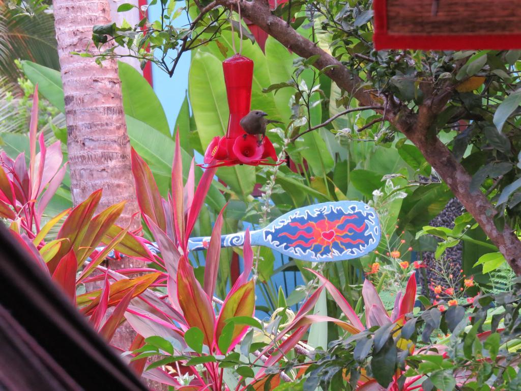 Cabinas Au Coeur Du Soleil Guest house 3*