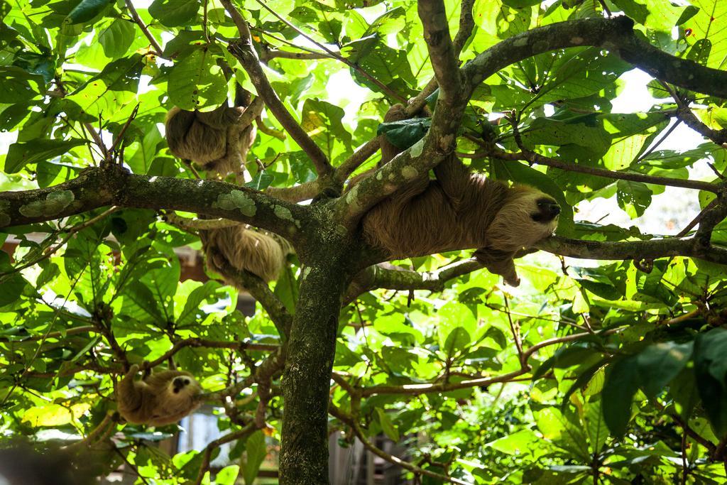 Le Cameleon Boutique Hotel