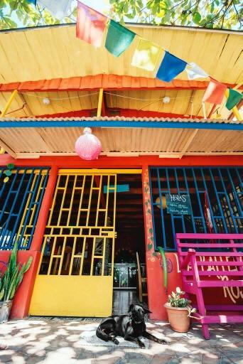 La Ballena Roja And Cafe * Uvita