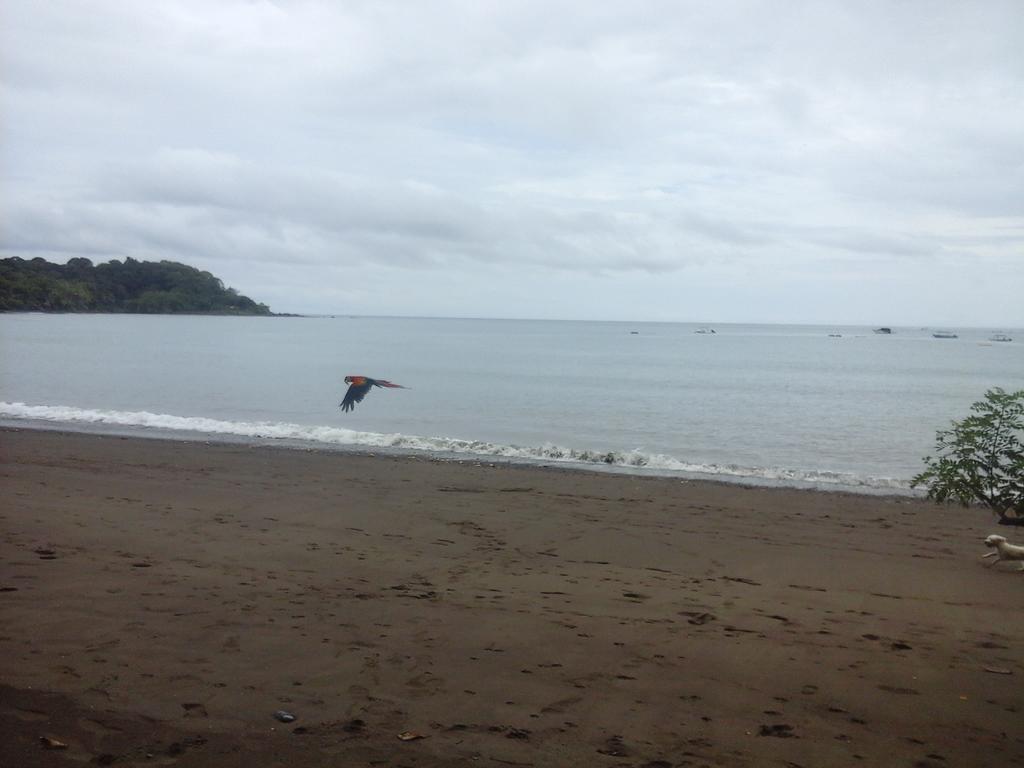 Las Brisas Tours Y Cabinas Guest house