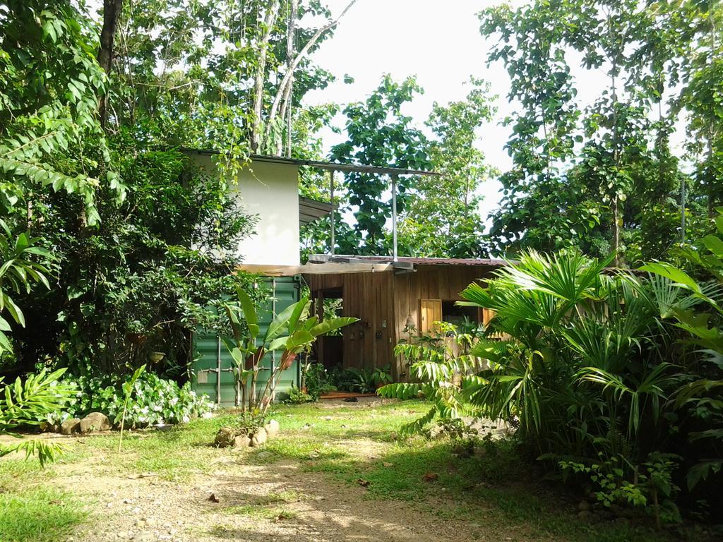Osa De Rio Guest house *