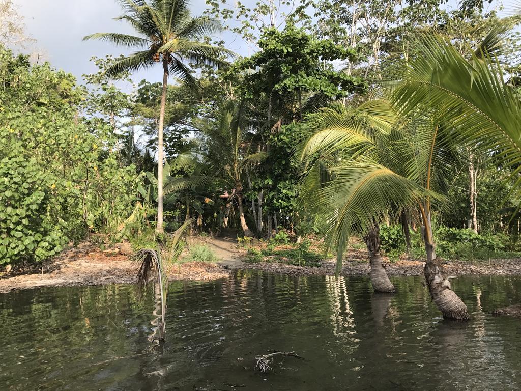 Punta Preciosa Puerto Jimenez