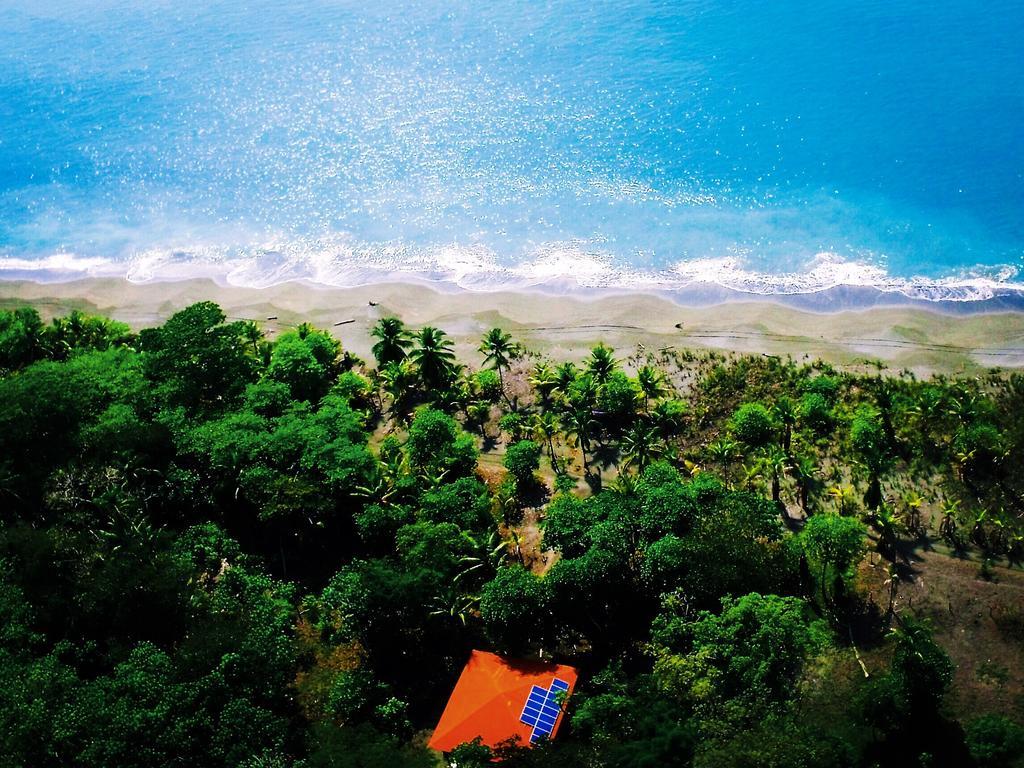 Punta Preciosa Bed & Breakfast Puerto Jimenez