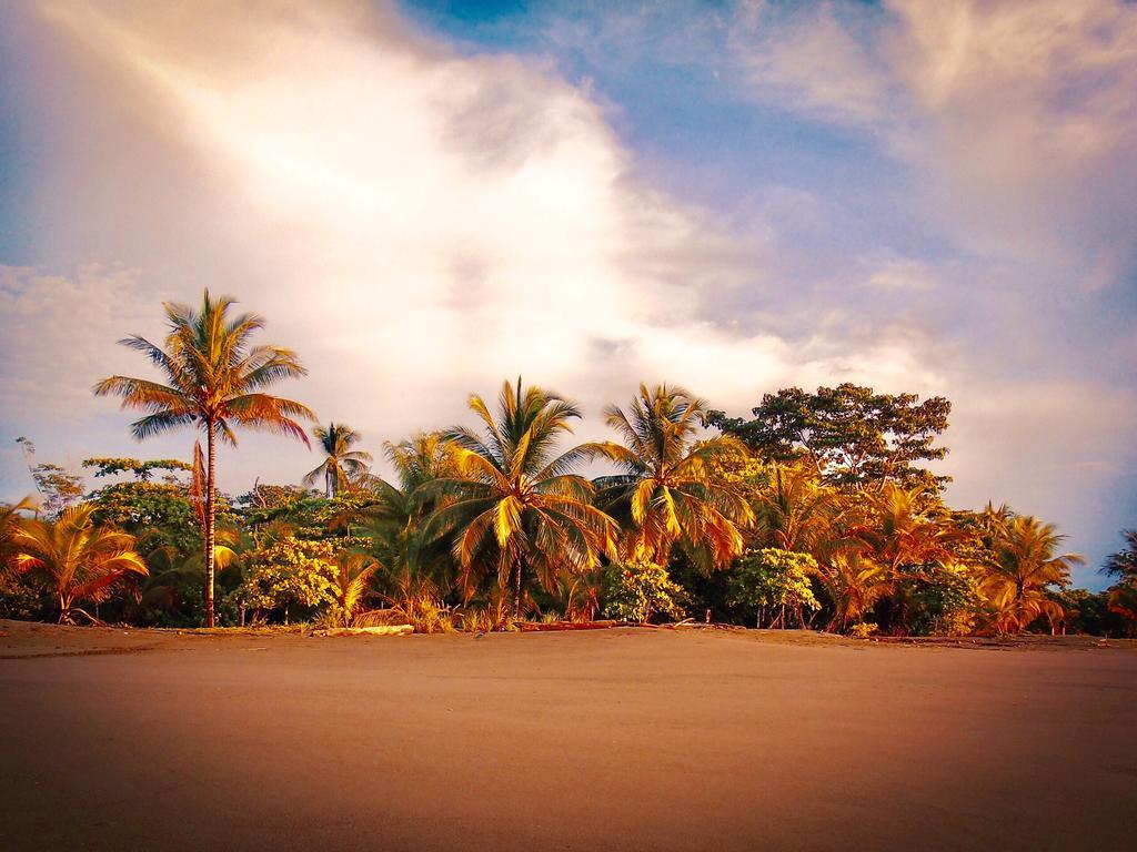 Punta Preciosa Bed & Breakfast Puerto Jimenez