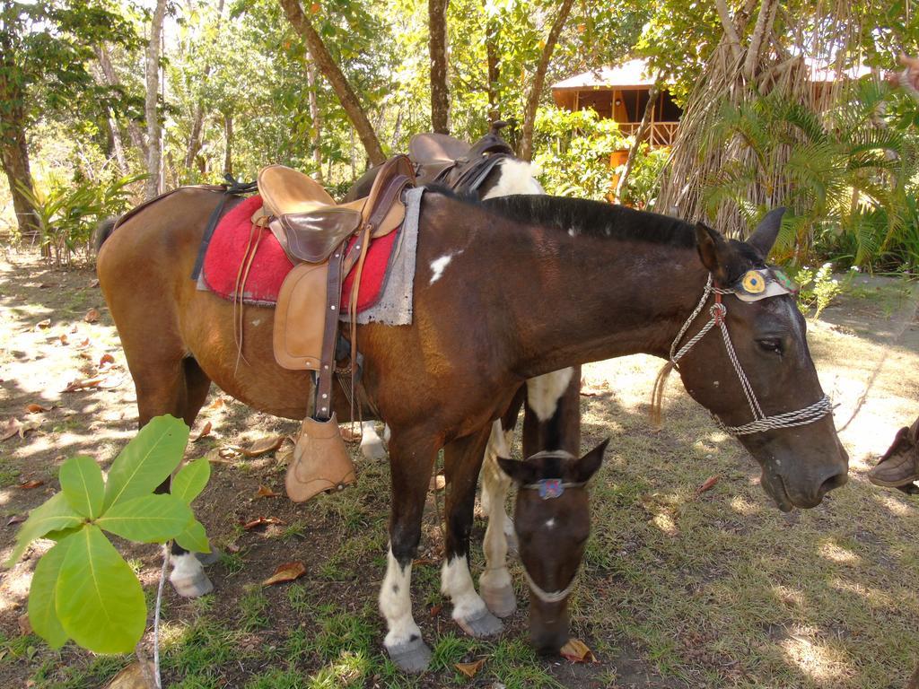 Punta Preciosa Bed & Breakfast *