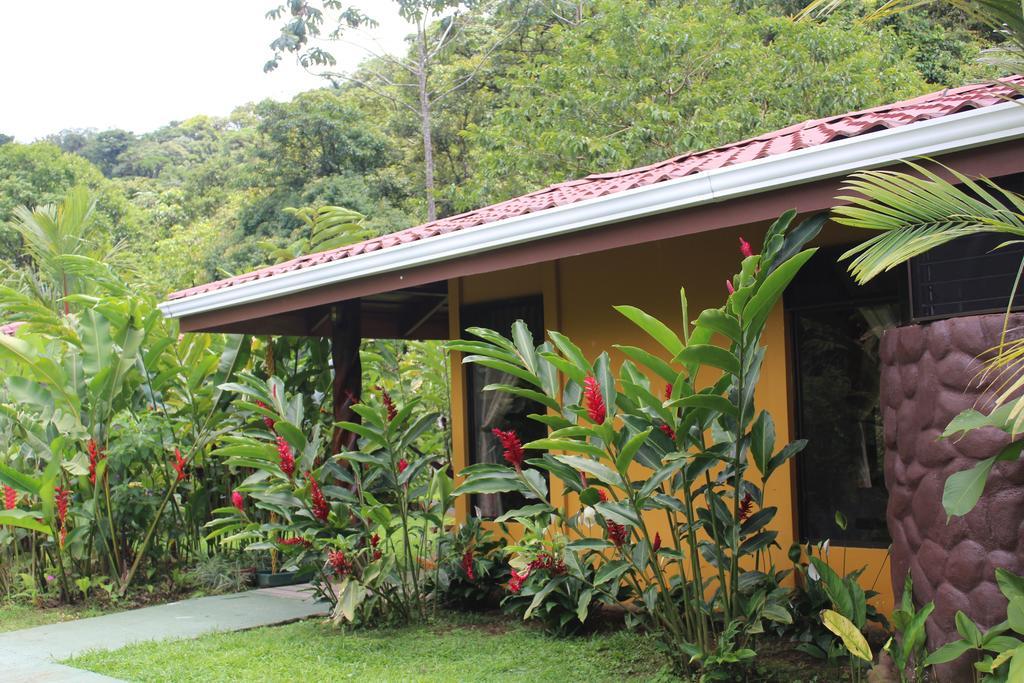 Hotel Catarata Rio Celeste