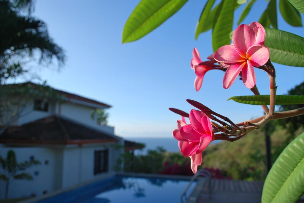 Guest house Casa Frangipani 3*