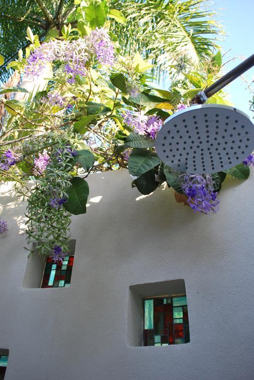 Casa Frangipani 3*