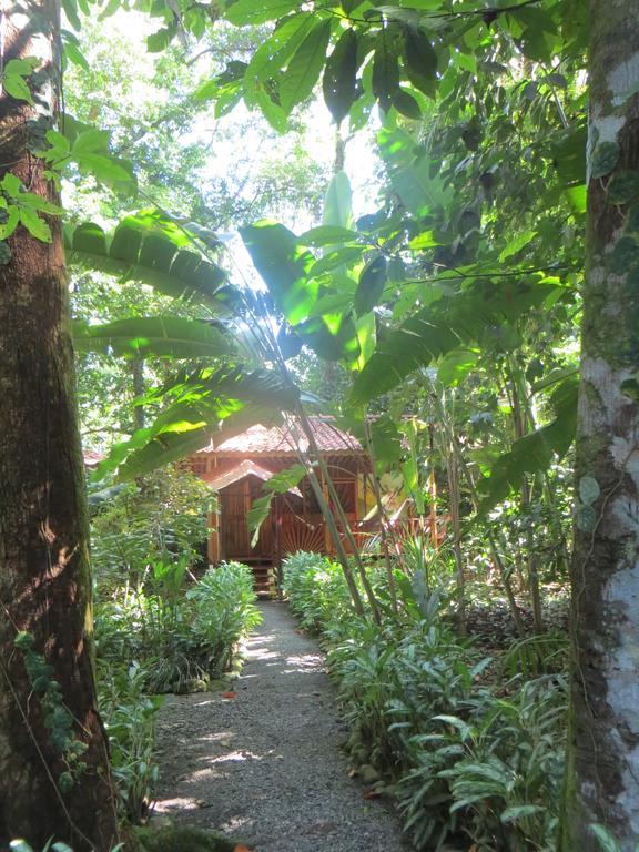 Tierra De Suenos & Wellness Center *