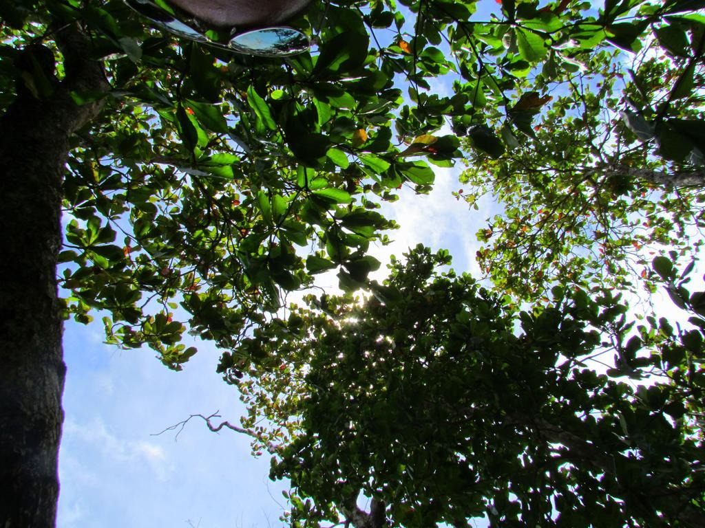 Kacha Front Manuel Antonio